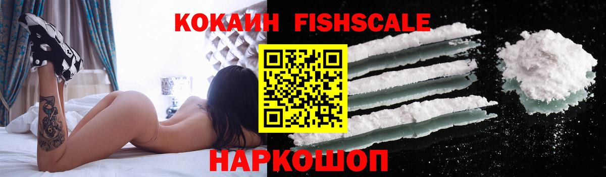 купить наркотики цена  COCAIN  Медногорск  Кокаин FishScale  Вход с VPN  COCAIN Боливия 