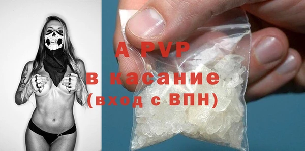 прущие грибы Туринск