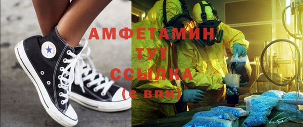 прущие грибы Туринск