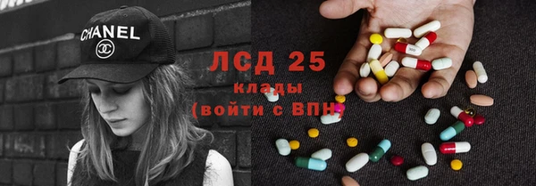 прущие грибы Туринск
