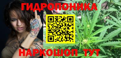 эйфоретик Жуковский