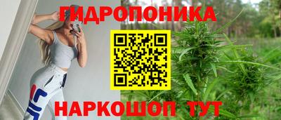 эйфоретик Жуковский