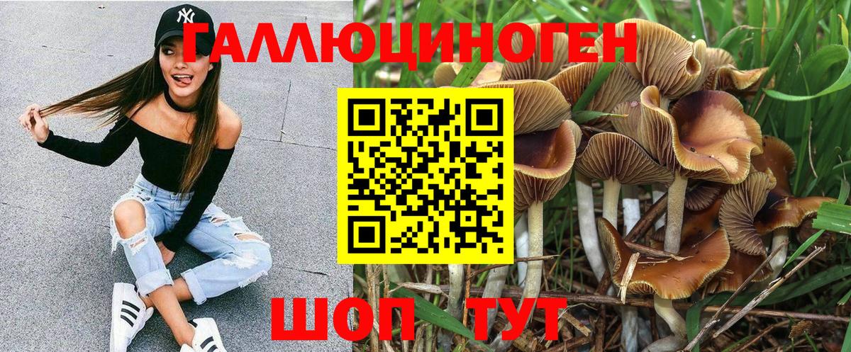 Псилоцибиновые грибы ЛСД Медногорск