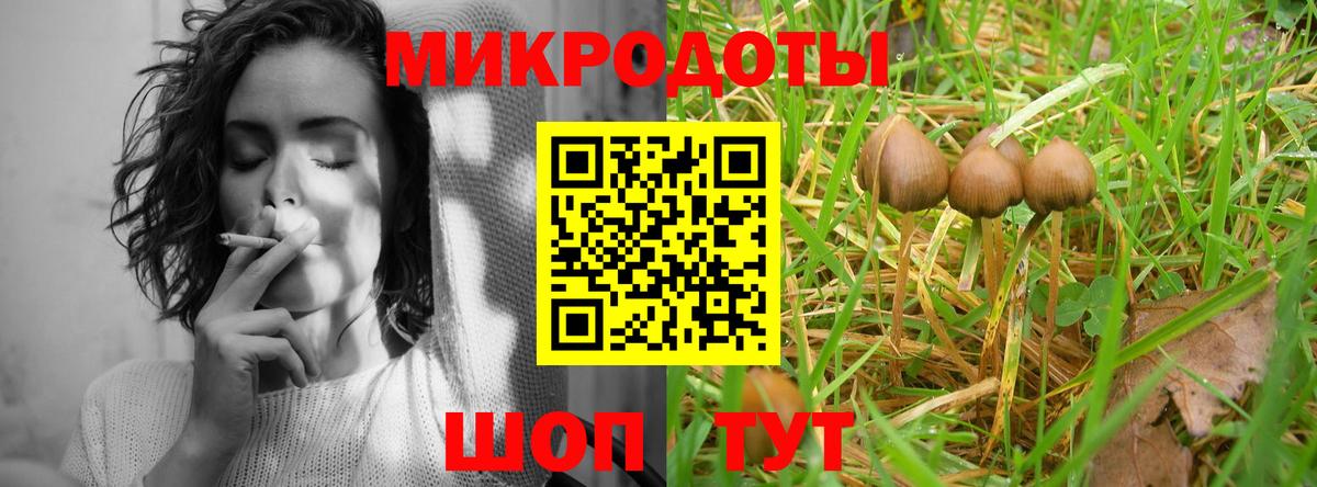 Псилоцибиновые грибы MAGIC MUSHROOMS  Галлюциногенные грибы мухоморы  Медногорск  Вход с VPN 